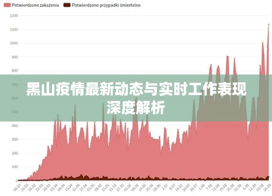 黑山疫情最新动态与实时工作表现深度解析