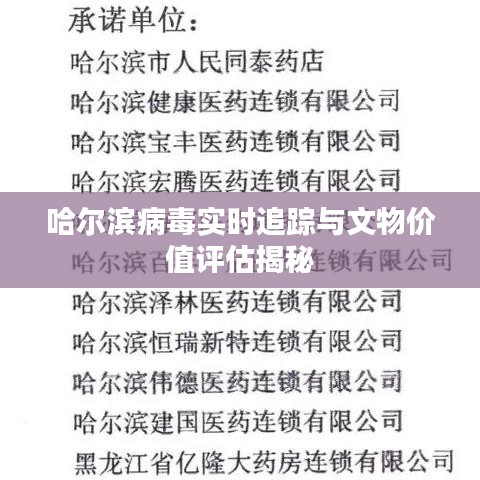 哈尔滨病毒实时追踪与文物价值评估揭秘