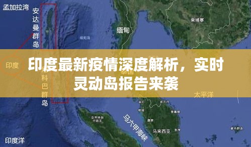 印度最新疫情深度解析，实时灵动岛报告来袭