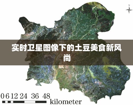 实时卫星图像下的土豆美食新风尚