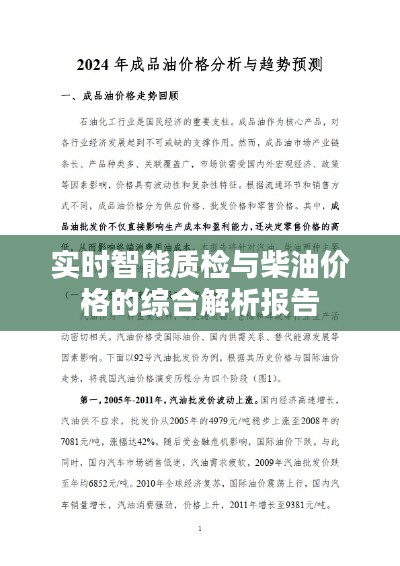 支付方式 第12页