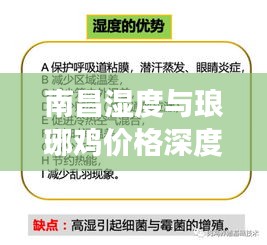 南昌湿度与琅琊鸡价格深度解读，实时动态、全面释义与风险预警