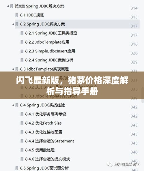闪飞最新版，猪茅价格深度解析与指导手册