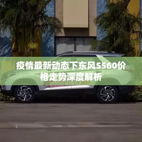 疫情最新动态下东风S560价格走势深度解析
