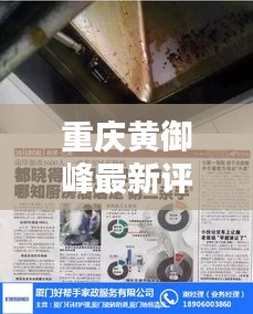 重庆黄御峰最新评论及大理石保养价格深度解析