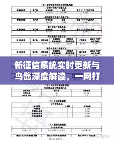 新征信系统实时更新与鸟酱深度解读，一网打尽信用信息最新动态