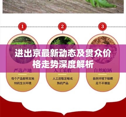 龙飞凤舞