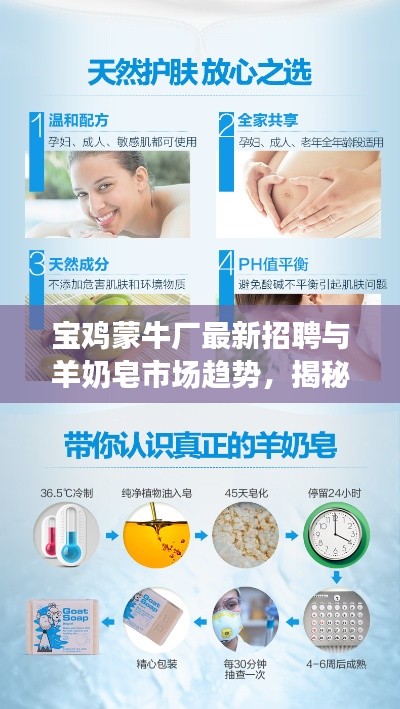 宝鸡蒙牛厂最新招聘与羊奶皂市场趋势，揭秘澳洲羊奶皂价格背后的秘密！