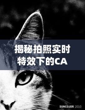 张狂妄行