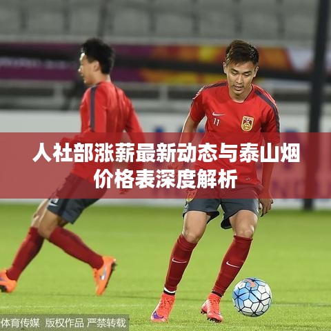 人社部涨薪最新动态与泰山烟价格表深度解析