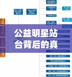 公益明星站台背后的真相揭秘，地图实时提醒助你识别价值解读与虚假宣传风险！