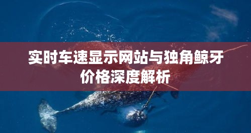 富贵逼人
