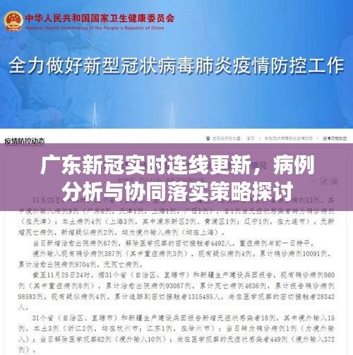 广东新冠实时连线更新，病例分析与协同落实策略探讨