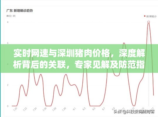 实时网速与深圳猪肉价格，深度解析背后的关联，专家见解及防范指南全揭秘
