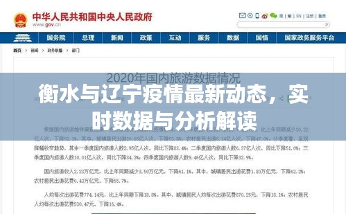 衡水与辽宁疫情最新动态，实时数据与分析解读