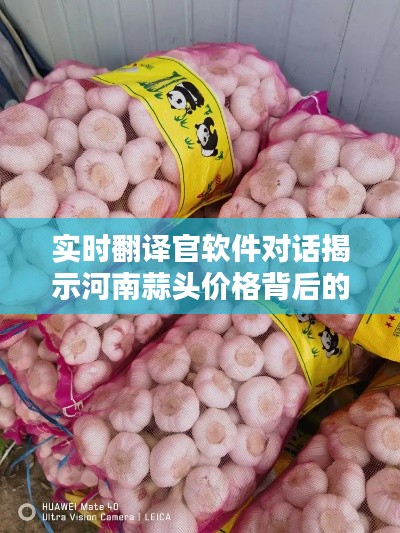实时翻译官软件对话揭示河南蒜头价格背后的秘密