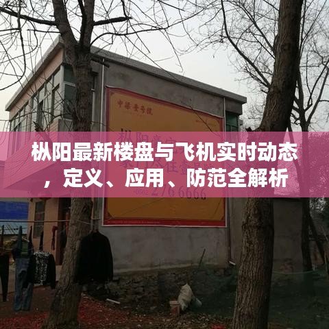 枞阳最新楼盘与飞机实时动态，定义、应用、防范全解析
