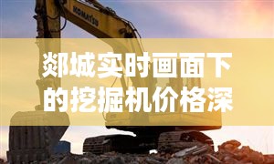 郯城实时画面下的挖掘机价格深度解析，80挖掘机价格一网打尽