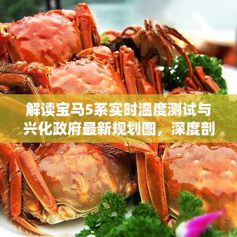 解读宝马5系实时温度测试与兴化政府最新规划图，深度剖析，不容错过