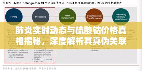 肺炎实时动态与硫酸钴价格真相揭秘，深度解析其真伪关联