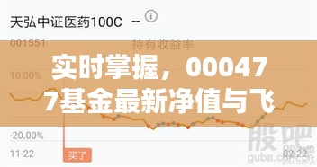 实时掌握，000477基金最新净值与飞机到港时间查询详解指南