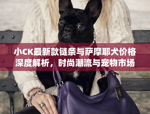 帮助中心 第9页