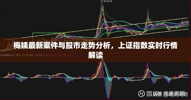 梅姨最新案件与股市走势分析，上证指数实时行情解读