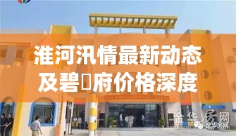 淮河汛情最新动态及碧玥府价格深度剖析