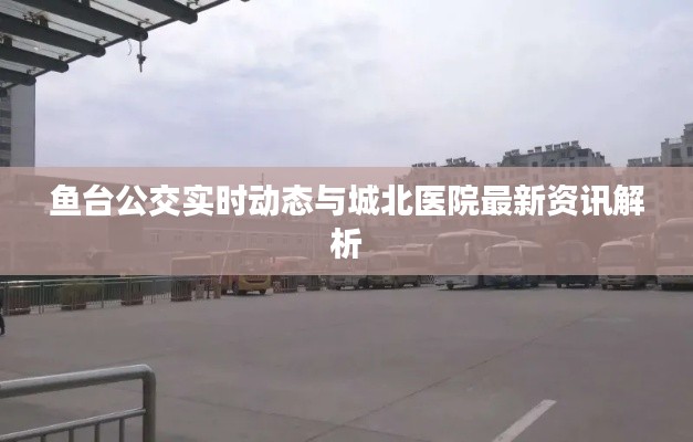 鱼台公交实时动态与城北医院最新资讯解析