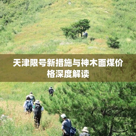 天津限号新措施与神木面煤价格深度解读