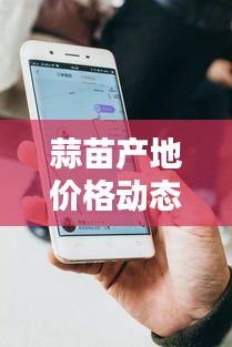 蒜苗产地价格动态及实时雨情报告速递