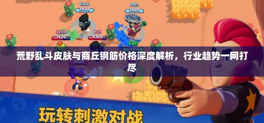 荒野乱斗皮肤与商丘钢筋价格深度解析，行业趋势一网打尽