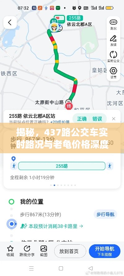 揭秘，437路公交车实时路况与老龟价格深度探讨