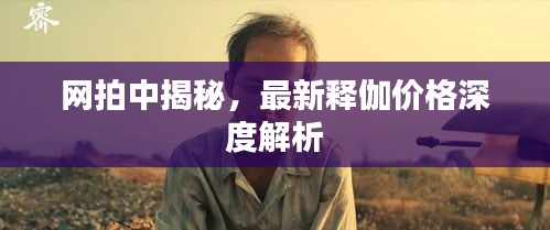 网拍中揭秘，最新释伽价格深度解析