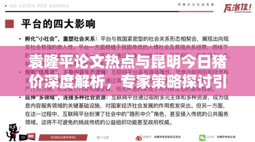 袁隆平论文热点与昆明今日猪价深度解析，专家策略探讨引领行业探讨