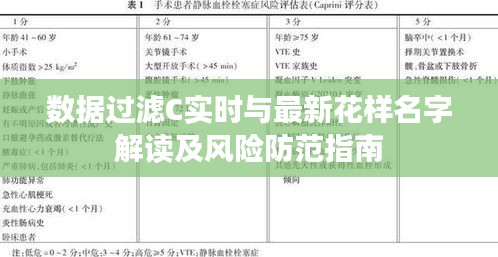 数据过滤C实时与最新花样名字解读及风险防范指南