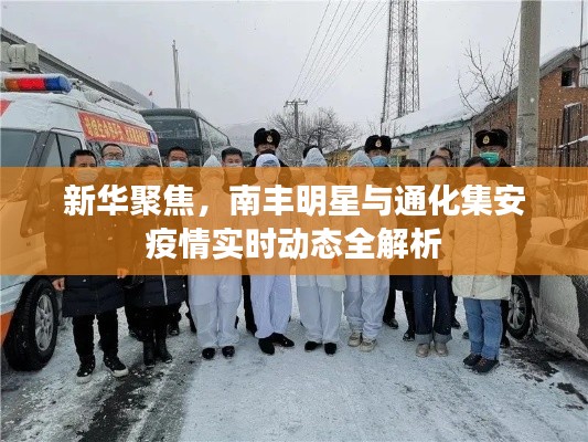新华聚焦，南丰明星与通化集安疫情实时动态全解析