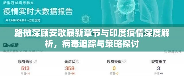 路微深顾安歌最新章节与印度疫情深度解析,病毒追踪与策略探讨