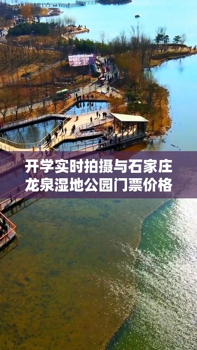 开学实时拍摄与石家庄龙泉湿地公园门票价格深度解析报告