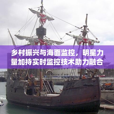 乡村振兴与海面监控，明星力量加持实时监控技术助力融合应用新篇章
