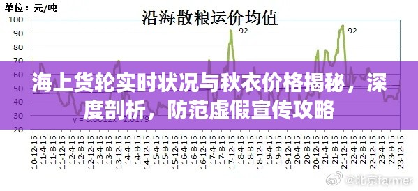 海上货轮实时状况与秋衣价格揭秘，深度剖析，防范虚假宣传攻略
