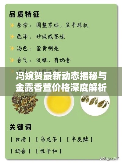 冯婉贺最新动态揭秘与金露香萱价格深度解析