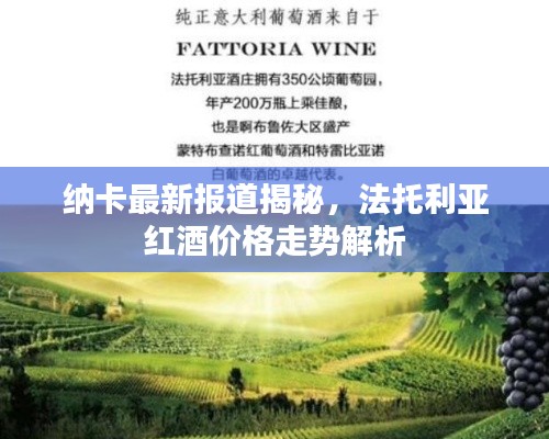 纳卡最新报道揭秘，法托利亚红酒价格走势解析