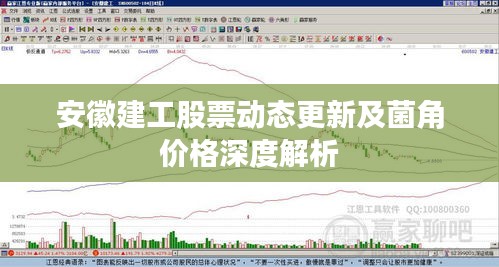 安徽建工股票动态更新及菌角价格深度解析