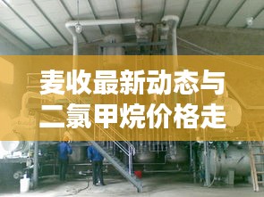 麦收最新动态与二氯甲烷价格走势分析