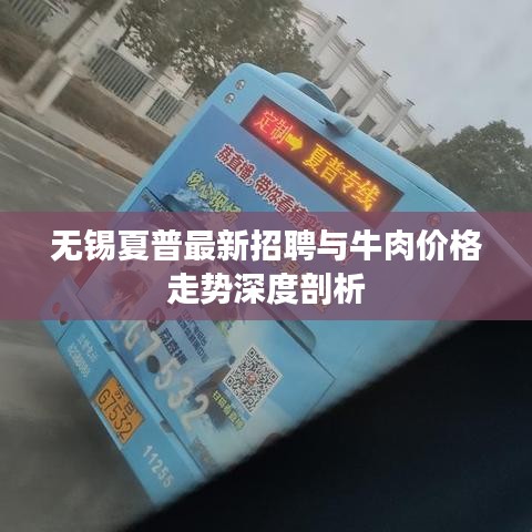 无锡夏普最新招聘与牛肉价格走势深度剖析