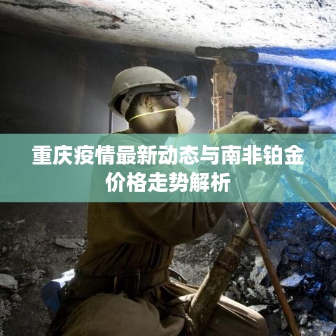 布衣蔬食