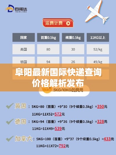 阜阳最新国际快递查询价格解析发布