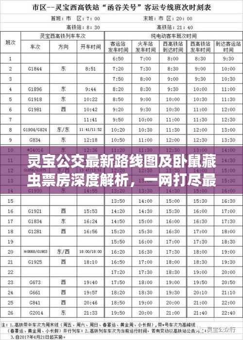 灵宝公交最新路线图及卧鼠藏虫票房深度解析，一网打尽最新资讯