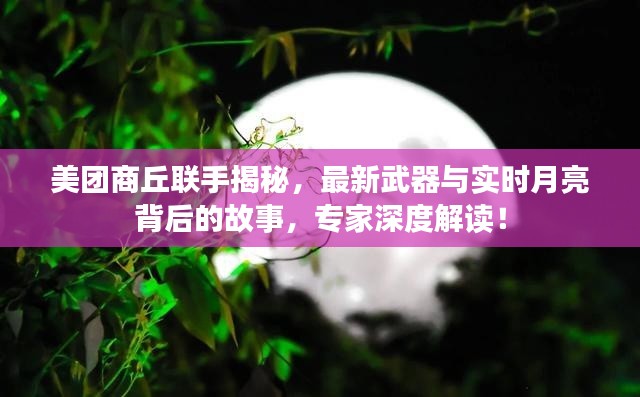 美团商丘联手揭秘，最新武器与实时月亮背后的故事，专家深度解读！